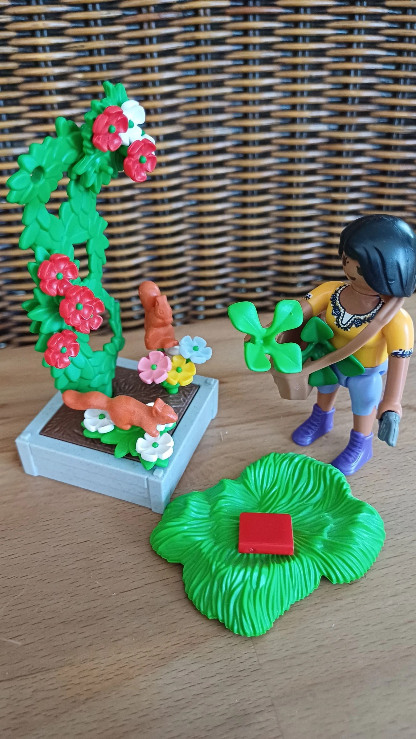 Herboriste playmobil – photo 3